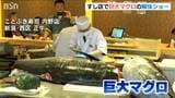 「とろける、とろける」重さ約230kg!すし店で岩手・大船渡産本マグロの解体ショー 新潟・西区 | 新潟のニュース・天気|BSN NEWS|BSN新潟放送
