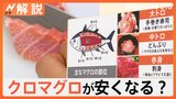 「美味しくてとろけます」マグロの王様が安くなるかも? クロマグロ漁獲枠拡大なるか【Nスタ解説】|TBS NEWS DIG