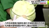 青森県産キャベツ香港初輸出へ検品作業 出荷基準満たし消費拡大ブランド向上に期待|TBS NEWS DIG