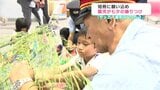 「サッカー選手になりたい」短冊に願い込め 園児が七夕の飾りつけ JR高知駅彩る|TBS NEWS DIG