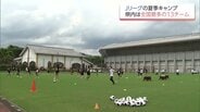 Jリーグ「秋春制」移行で初の夏キャンプ　宮崎県が13チーム受け入れ　全国最多の理由は?　　|　MRTニュース ｜ ＭＲＴ宮崎放送
