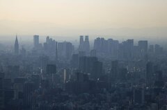 【日本市況】株上昇、米景気懸念緩和も相場不安定－円は底堅い| TBS CROSS DIG with Bloomberg