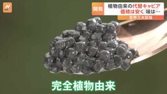 「塩味もあって魚卵由来の濃厚さ」　本物より格安の“代替キャビア”　完全植物由来で製造| TBS CROSS DIG with Bloomberg