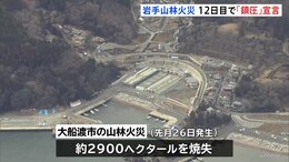 岩手・大船渡市の山火事、発生12日目のきょう鎮圧宣言　避難指示もあす正午までにすべて解除見込み　約2900ヘクタール焼失、男性（90代）死亡、建物被害210棟|TBS NEWS DIG