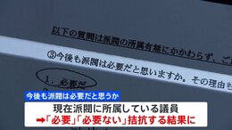 自民党全所属議員に派閥に関するアンケート　キックバックについて11人が「今回の問題発覚前から把握」|TBS NEWS DIG