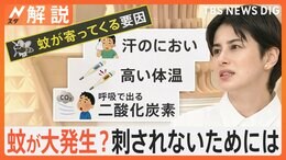 活動開始！早くも蚊が活発、虫よけスプレー 正しい使い方は？ 日焼け止め 使う場合はどっちが先？【Nスタ解説】|TBS NEWS DIG
