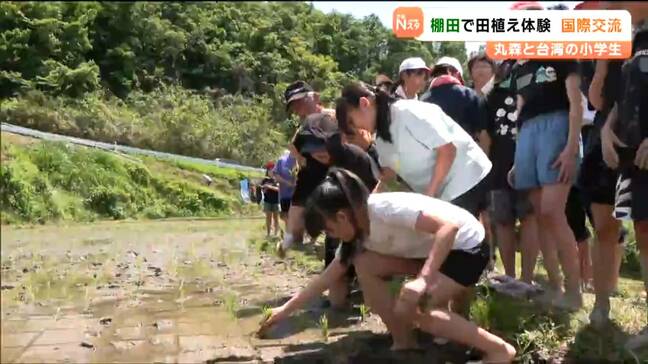 「ベリーハッピー、エキサイティング」台湾と日本の小学生が“棚田”で田植え体験　宮城・丸森町|TBS NEWS DIG