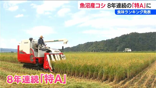 2025年産『魚沼コシヒカリ』が8年連続で最高ランクの“特A”評価【米の食味ランキング】|TBS NEWS DIG