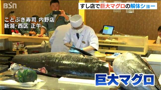 「とろける、とろける」重さ約230kg!すし店で岩手・大船渡産本マグロの解体ショー 新潟・西区|TBS NEWS DIG