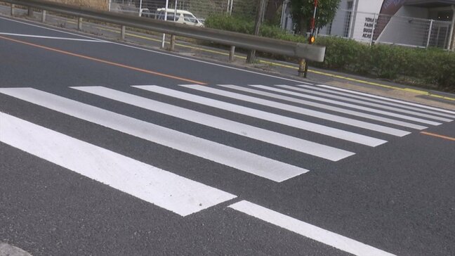 横断歩道「お先にどうぞ」の落とし穴…実は交通違反?警察に確認すると…|TBS NEWS DIG