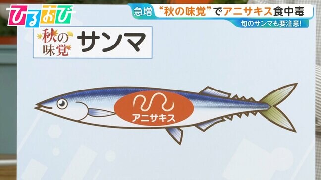 旬のサンマも要注意!「アイスピックで刺されるような激痛」アニサキス食中毒10月に多発【ひるおび】|TBS NEWS DIG