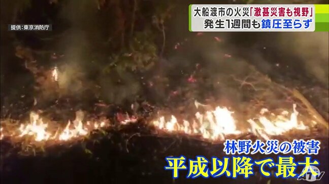 【山火事】大船渡市の林野火災　発生から1週間も鎮圧に至らず…　石破茂総理「激甚災害も視野に入っている」|TBS NEWS DIG
