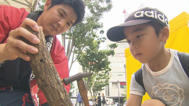 26年連続の日本一を目指して 大分市で県乾椎茸品評会の表彰式と消費拡大イベント|TBS NEWS DIG