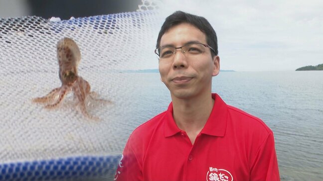 難題「タコの赤ちゃんは何食べる」？前例無きタコ養殖 『築地銀だこ』運営会社が挑む|TBS NEWS DIG