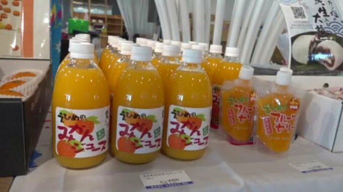 紅まどんな、今治タオル…！東京で今治物産展 ふるさと納税への寄付をPR 昨年度のふるさと納税は約17億1700万円で愛媛県内4位|TBS NEWS DIG