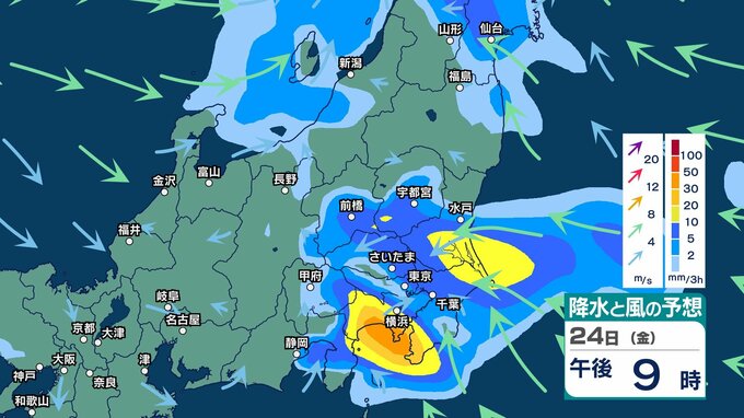 【 関東甲信の雨 】多い所で1時間40ミリ　雷を伴った激しい雨の所も　警報級大雨の可能性も【29日(水)午後3時までの雨風シミュレーション・24日正午更新】|TBS NEWS DIG