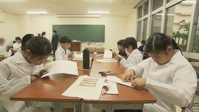 「胞子とかビカクシダとかに興味」琉球大学に放課後子ども科学クラブが今月開講|TBS NEWS DIG