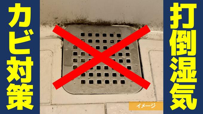 【カビ対策】梅雨のジメジメに…家電を使った換気術！カビを寄せ付けない正しい家具の配置は？再発を防ぐ除去方法とは？|TBS NEWS DIG