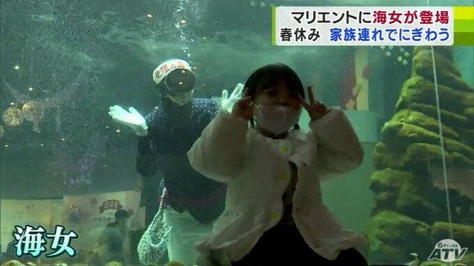 じぇじぇじぇ！水槽に「海女さん」現る！　春休み特別イベントに多くの家族連れ　青森県八戸市|TBS NEWS DIG