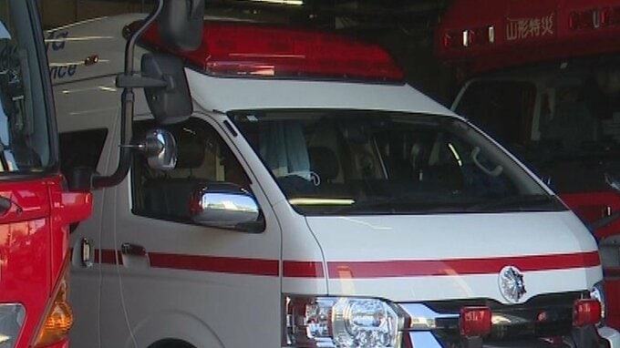 木の伐採中に転倒、岸壁から落下　60代男性が大ケガ（山形）　|　山形のニュース│TUYテレビユー山形