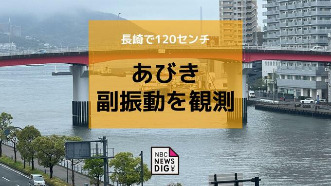 【注意】長崎沿岸で「あびき」発生中　最大120センチの潮位変動 船舶被害に注意|TBS NEWS DIG