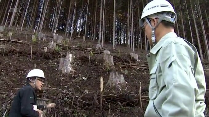 再造林率日本一目指し　椎葉村の現場を河野知事が視察　|　MRTニュース ｜ ＭＲＴ宮崎放送
