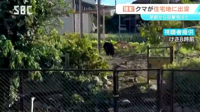 飯田市の住宅地にクマ出没　体長約1メートルの成獣か　5件の目撃情報【クマの画像あり】付近の住民に注意呼びかけ　|　SBC NEWS | 長野のニュース | SBC信越放送