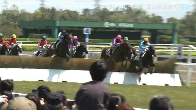サラブレッドが駆ける春！新潟競馬春開催が開幕　家族連れで楽しめるイベントも|TBS NEWS DIG