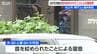 【続報】新潟県村上市の住宅で発見された親子3人の遺体　80代夫婦の死因は首を絞められたことによる窒息死と判明　無理心中などの可能性視野に捜査　|　新潟のニュース・天気｜BSN NEWS｜BSN新潟放送