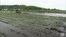 下北・三八上北に「低温注意報」発表　「やませの影響で少し寒い…」田植えをしたばかりの農家にとっても“心配の種”　気温差による体調管理や農作物の管理に注意を　青森県　|　青森のニュース│ATV NEWS│青森テレビ