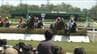 サラブレッドが駆ける春！新潟競馬春開催が開幕　家族連れで楽しめるイベントも　|　新潟のニュース・天気｜BSN NEWS｜BSN新潟放送