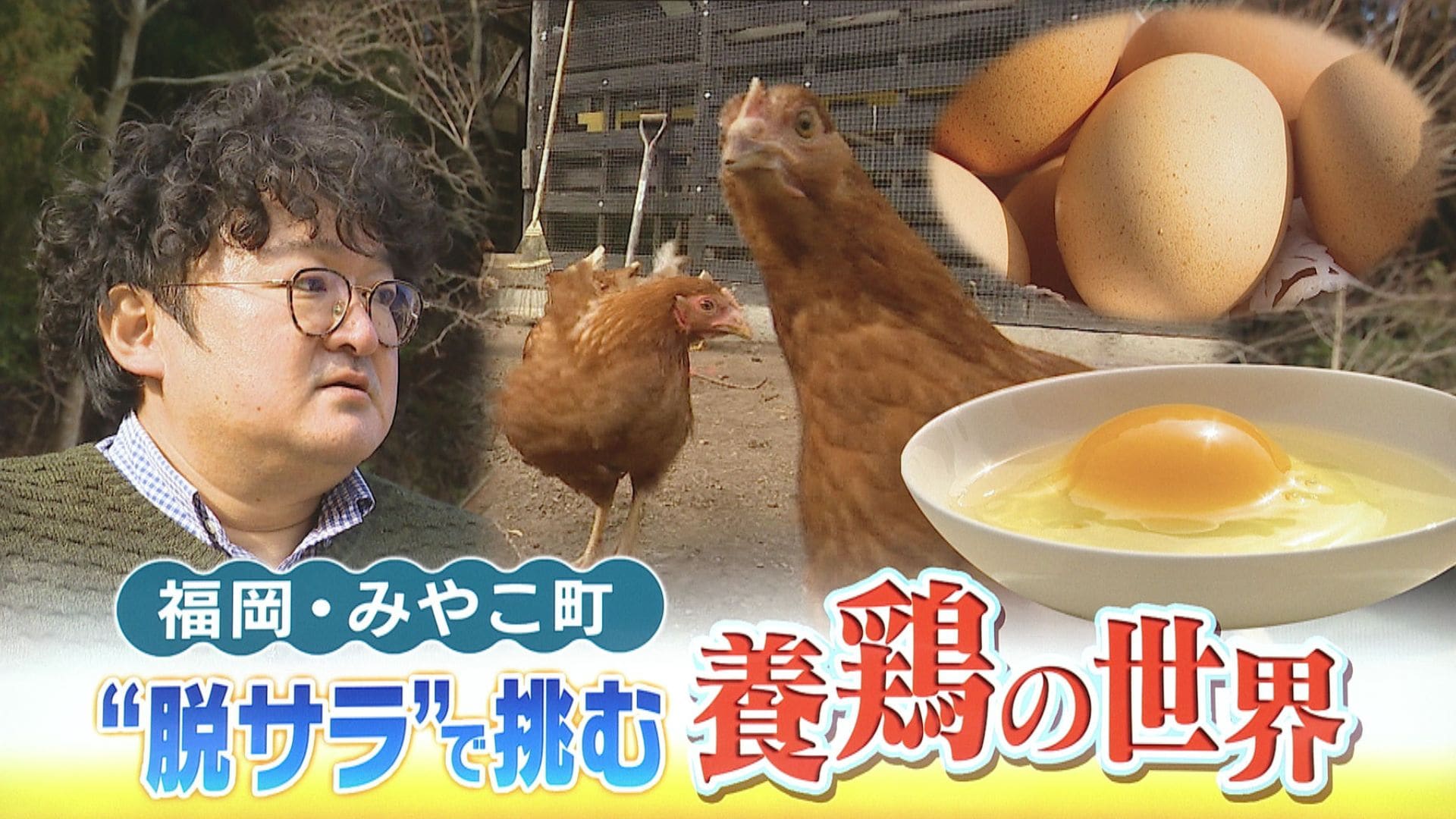 ストレスなく元気に育って」広い屋外で放し飼い”放牧養鶏”に脱サラで