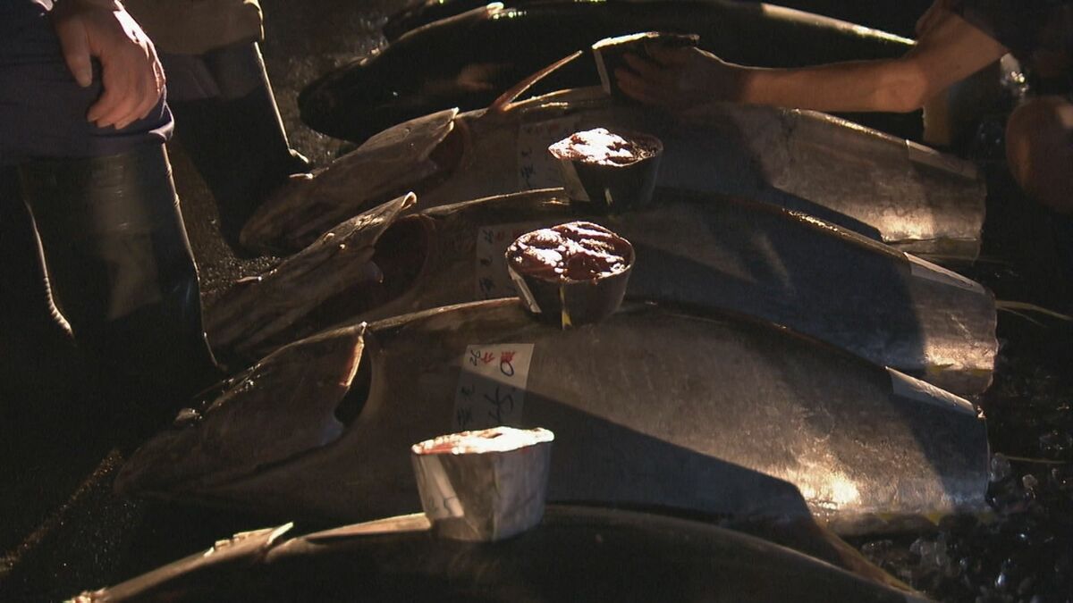 “岐阜の台所”中央市場が停電…暗がりの中での競り｢色が分からない｣ 酸欠でタイ1トン全滅するなど影響広がる 