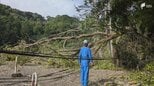 「土砂が崩れているようだ」静岡・下田市で土砂崩れ、6世帯7人が孤立 周辺約50戸で停電も　|　静岡のニュース | SBSNEWS | 静岡放送