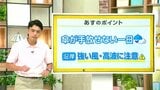 高知の天気　７日広い範囲で雨　雷を伴うところも　山岸拓気象予報士が解説|TBS NEWS DIG