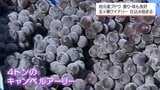 五ヶ瀬町のワイナリー 今季のワインの仕込み始まる | MRTニュース | MRT宮崎放送