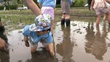 陸前高田市内外の子ども達など50人が参加 市のオリジナルブランド米「たかたのゆめ」田植え式|TBS NEWS DIG