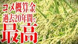 いずれも過去20年間で最高に 青森県のコメの概算金「今までにない金額」農家は驚き 東北は軒並み増額【東北6県の主要銘柄の「コメ概算金」まとめあり】 | 青森のニュース│ATV NEWS│青森テレビ