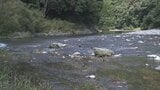 川遊び中の事故か…徳島・鮎喰川でウェットスーツ姿の64歳男性の遺体を発見妻から前夜に「帰ってこない」と通報|TBS NEWS DIG