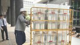 投票所入場整理券の発送遅れ 整理券なくても期日前投票可能 大分市選管「貴重な一票投じてほしい」 | 大分のニュース|OBS NEWS|大分放送