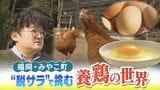 「ストレスなく元気に育って」広い屋外で放し飼い”放牧養鶏”に脱サラで挑む男性　こだわりのエサ作りも　3月のタマゴ発売を目指す　福岡県みやこ町　|　福岡のニュース｜RKB NEWS｜RKB毎日放送