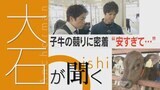 酪農・畜産業界がピンチ 物価高騰でコストが上がっているのに子牛の落札価格は暴落 現場で起きていることは…【大石が聞く】 | 名古屋・愛知・岐阜・三重のニュース【CBC news】 | CBC web