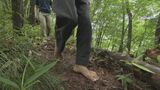 「ものの見方をシンプルに捉えるきっかけ」　足で自然を感じる森歩き　キーワードは『はだし』|TBS NEWS DIG