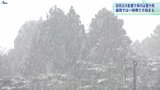 盛岡では降り方が強まる時間も 低気圧の影響で雪と風 岩手 | IBC NEWS | IBC岩手放送