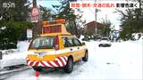顕著な大雪に見舞われた新潟市 一夜明け影響色濃く|TBS NEWS DIG