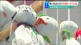 「見た人の未来も晴れますように…」 個性あふれる“てるてる坊主”の展覧会 新潟県長岡市 | 新潟のニュース・天気|BSN NEWS|BSN新潟放送