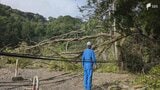 「土砂が崩れているようだ」静岡・下田市で土砂崩れ、6世帯7人が孤立 周辺約50戸で停電も　|　静岡のニュース | SBSNEWS | 静岡放送