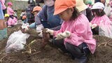 「大きいサツマイモとれたよ!」園児40人が収穫の喜び実感|TBS NEWS DIG