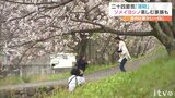 二十四節気の1つ「清明」は暖かい1日に サクラの木の下で花見する家族も | 愛媛のニュース - Nスタえひめ|あいテレビは6チャンネル