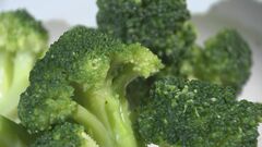 10年前から出荷量約3割↑ブロッコリーを「指定野菜」に追加へ　ジャガイモ以来、約50年ぶり　農水省| TBS CROSS DIG with Bloomberg